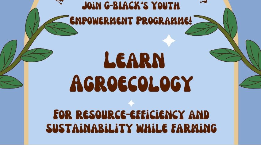 Youth Empowerment Outreach and Grant Proposal