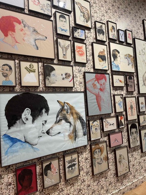 A gallery of images on a wall