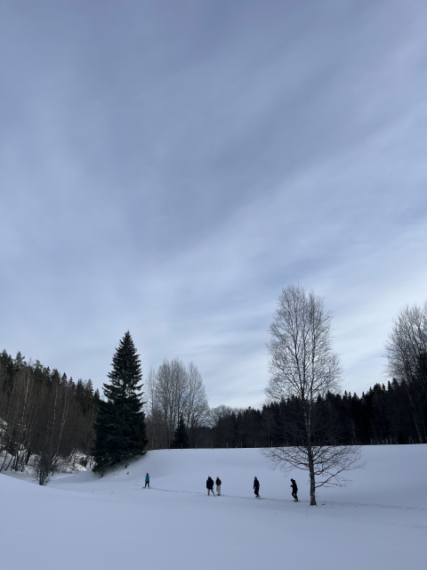 Exploring the ‘forest kindergarten' and walking the snowy grounds