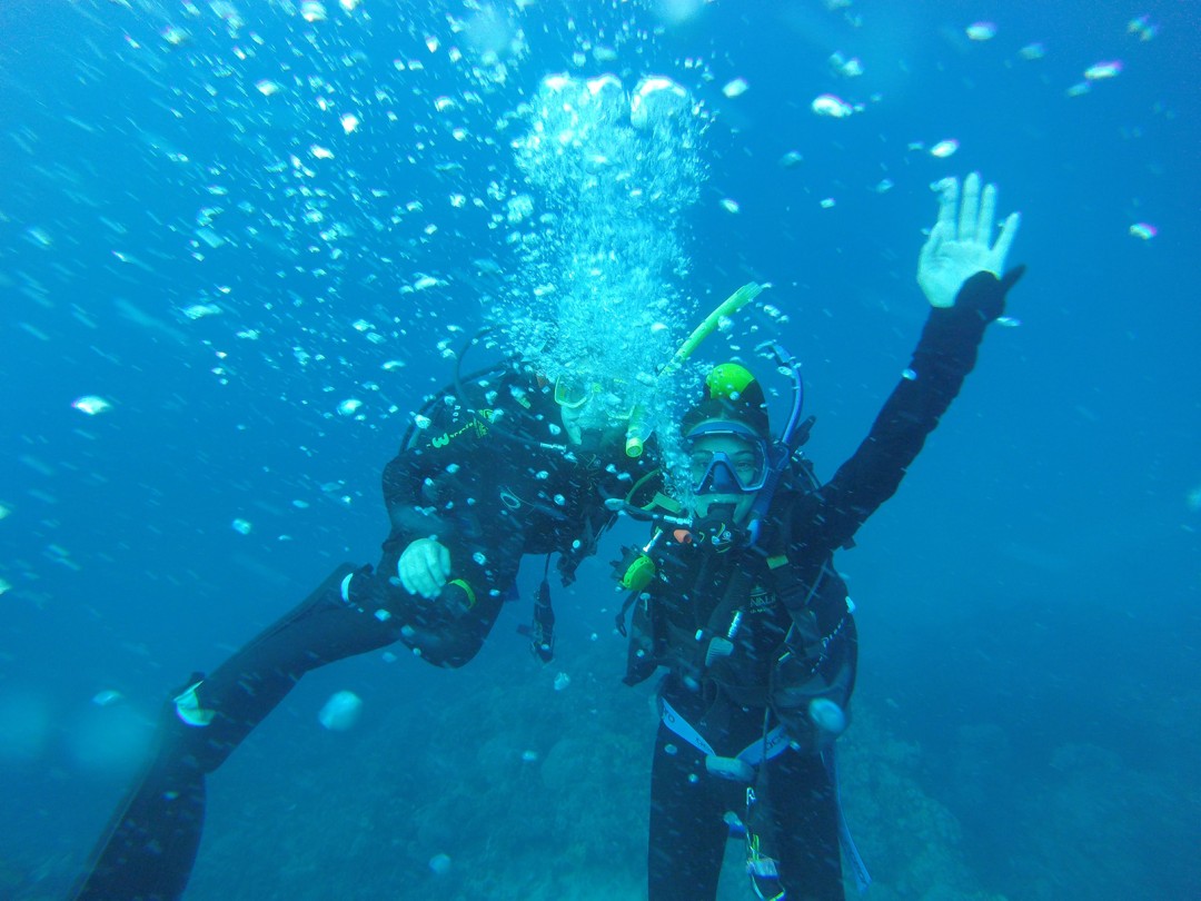 Great Barrier Reef Scuba Trip with Anna Nelson CC'26