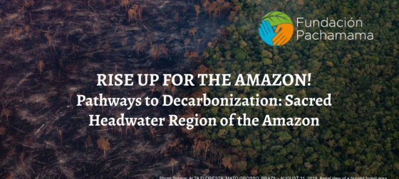 Rise up for the Amazon!
