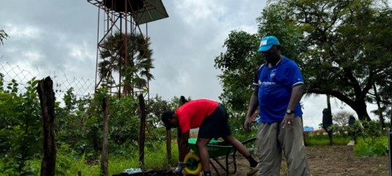 tree planting