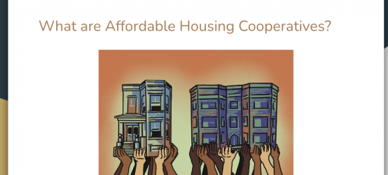 what are housing co-ops?