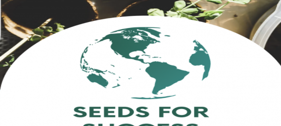 Logo for Seeds for Success