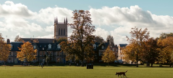 Univeristy of Cambridge taken by Jakub Pabis on Unsplash