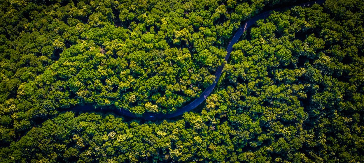 Bird's eye view of the Amazon Rainforest with a river running through the trees