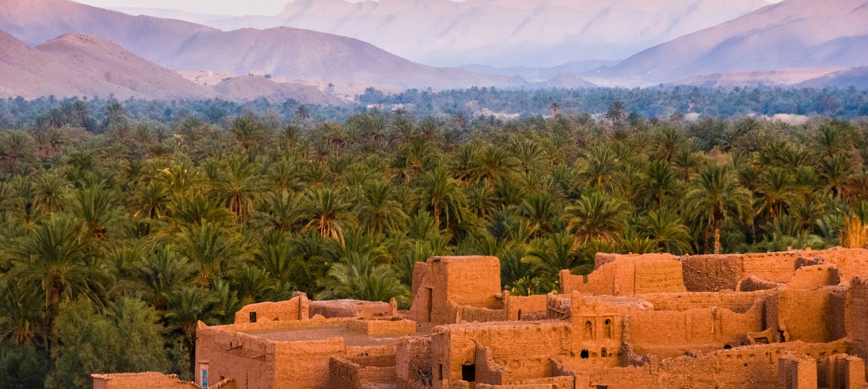 Concrete houses surrounded by trees in Tamnougalt, Morocco