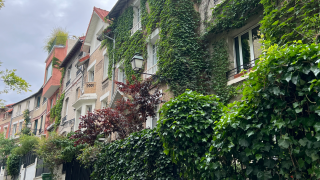 A street in Paris with building covered by green ivy