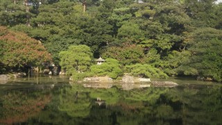 Pond in Kyoto