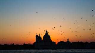 Sunset in Venice taken by Luca Micheli on Unsplash