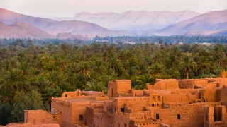 Concrete houses surrounded by trees in Tamnougalt, Morocco