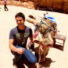 student and camel