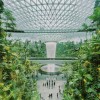 A view of the inside of a building full of greenery and a large water fountain