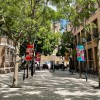 A street near SOAS A picturesque London street featuring lush green trees, brick buildings, and vibrant banners